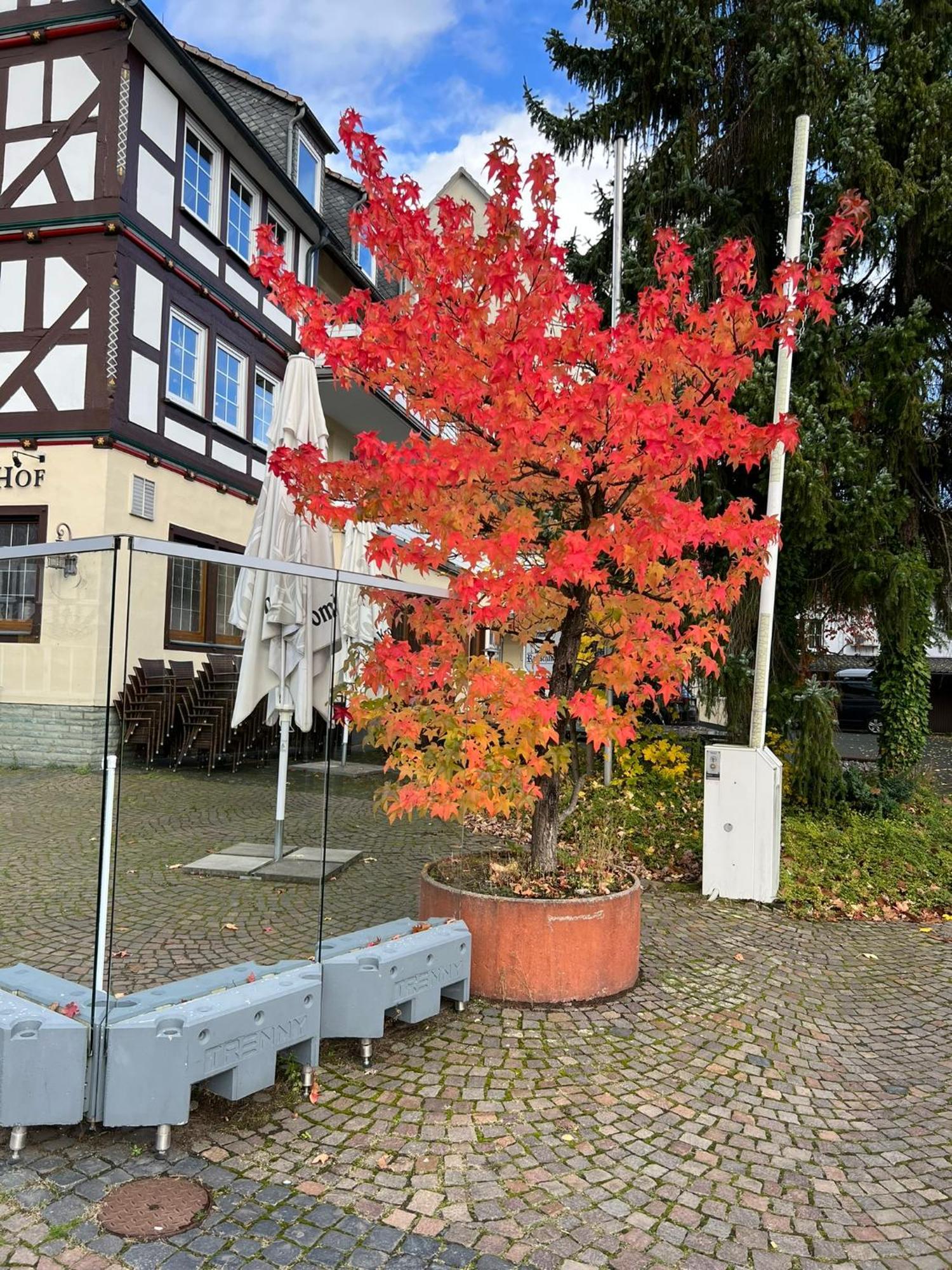 باد لاسفه Hotel Wittgensteiner Hof المظهر الخارجي الصورة